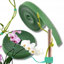 ŽALIA SPALVA – PIRTI IKI 5 METRŲ