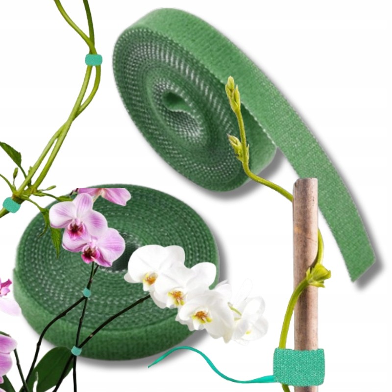 ŽALIA SPALVA – PIRTI IKI 5 METRŲ