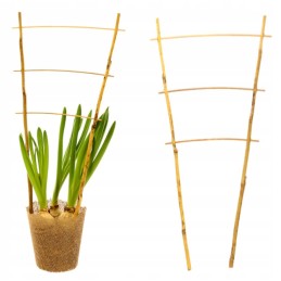 BAMBULINĖS KOPĖČIŲ ATRAMOS PERGOLA AUGALAI 45 cm