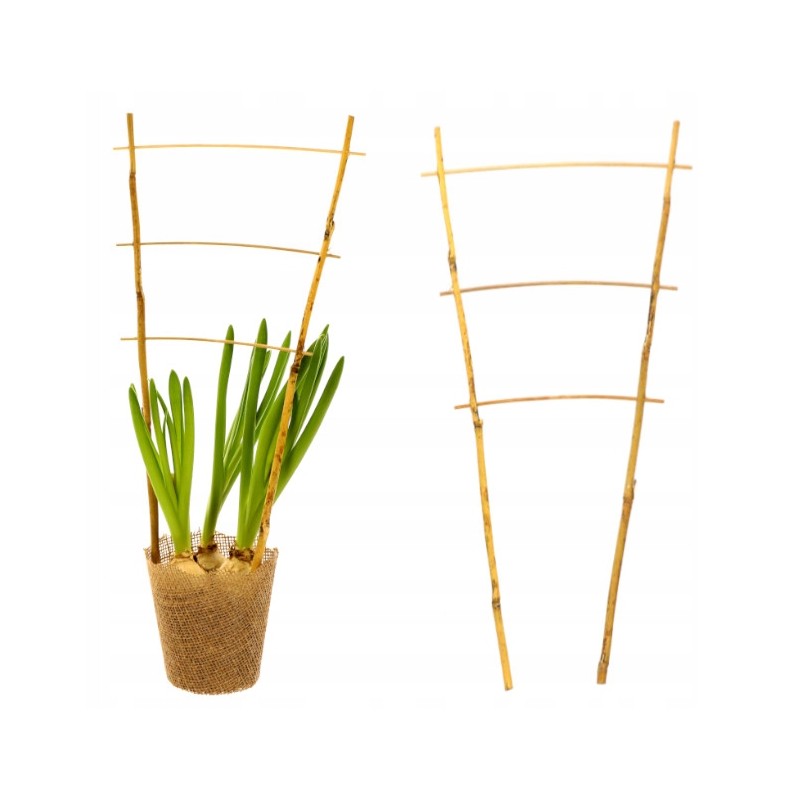 BAMBULINĖS KOPĖČIŲ ATRAMOS PERGOLA AUGALAI 45 cm