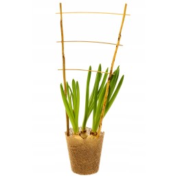 BAMBULINĖS KOPĖČIŲ ATRAMOS PERGOLA AUGALAI 45 cm