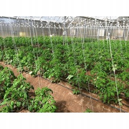 POLIPROPILENO SODO LYNĖ 80 m