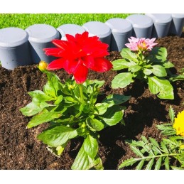 SODO PALISADA, AUKŠTAS, STIPRUS PILKAS KRAŠTAS