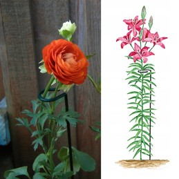 AUGALŲ ATRAMAS 60 cm