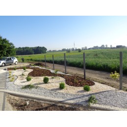 PLASTIC LAWN Edging