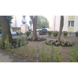 PLASTIC LAWN Edging