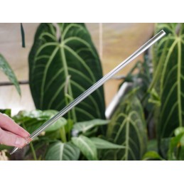 Skaidrus akrilo stulpas, 30 cm