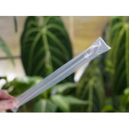 Skaidrus akrilo stulpas, 30 cm