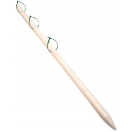 MEDINIS ATRAMAS JUOSTOS