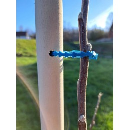 MEDINIS ATRAMAS JUOSTOS