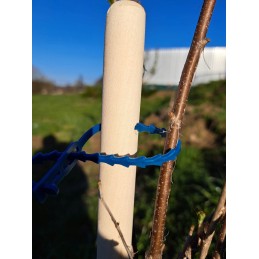 MEDINIS ATRAMAS JUOSTOS