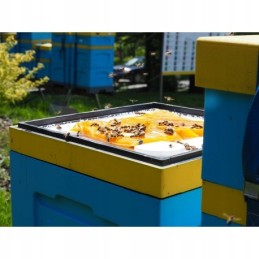 apikandis su žiedadulkėmis 1kg pyrago maistas bitėms