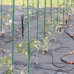 Green Garden POLE pomidorams ir augalams, 90 cm