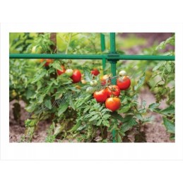 Metalinis sodo stulpas, padengtas PVC, augalams palaikyti 1,1x120cm