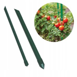 Techniniai duomenys: