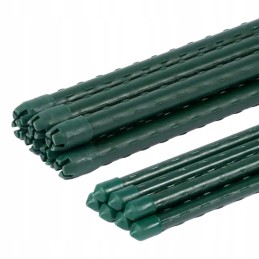 Techniniai duomenys: