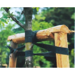 3 cm JUOSTA MEDŽIAMS RIŠTI vienam metrui