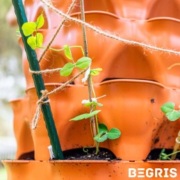 ☘️Pomidorų sodinukai su stiebu 90cm 1 vnt PLIENINIAI pomidorų stulpeliai☘️