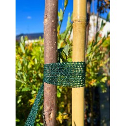 TINKLINĖ JUOSTA MEDŽIAMS SURIŠINTI 3cm x 3M