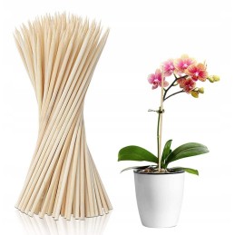 10x Smeigtukai Bamboo Sticks atrama 35cm