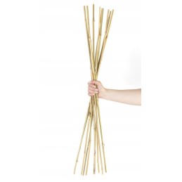 BAMBUKO POLE 12/14MM X1200MM BI-TB120