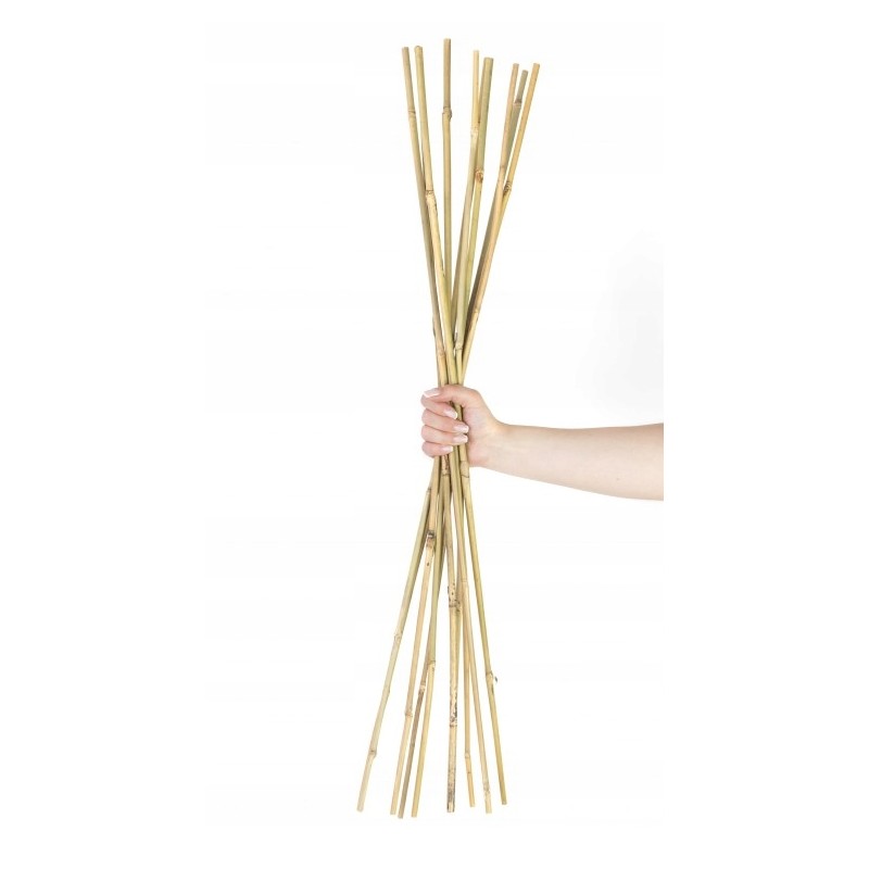 BAMBUKO POLE 12/14MM X1200MM BI-TB120