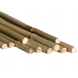 BAMBUKO POLE 12/14MM X1200MM BI-TB120