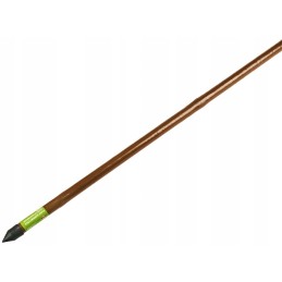 POLAS AUGALŲ ATLAIKIMUI