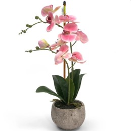 POLAS AUGALŲ ATLAIKIMUI