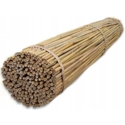 TIN TOURS BAMBOO POLE 150CM 12-14MM 1 vnt