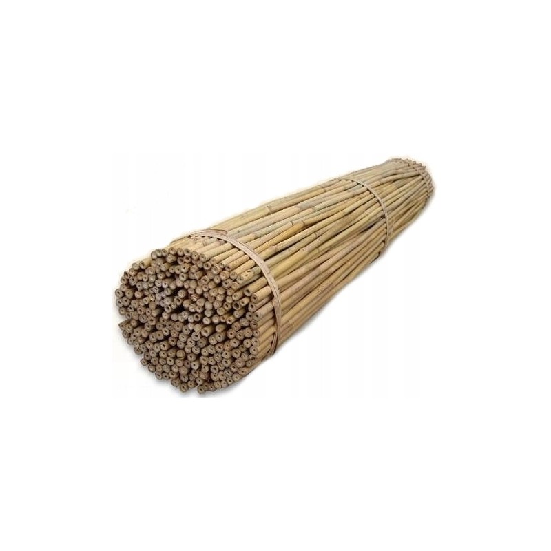 TIN TOURS BAMBOO POLE 150CM 12-14MM 1 vnt
