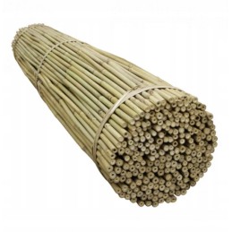 TIN TOURS BAMBOO POLE 150CM 12-14MM 1 vnt
