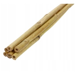 TIN TOURS BAMBOO POLE 150CM 12-14MM 1 vnt