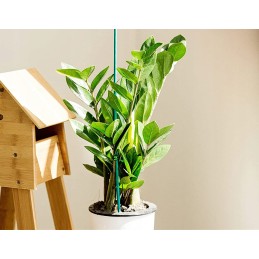10x Smeigtukai GREEN Bamboo Sticks R