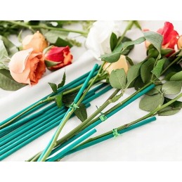 10x Smeigtukai GREEN Bamboo Sticks R