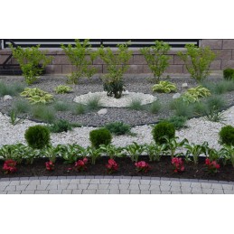 Garden lawn edge plastic border 45mm 1m + 3 anchors