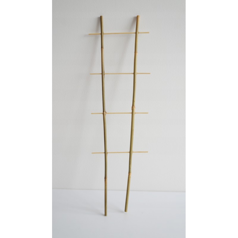 BAMBUKO KOPĖČIAS, dviguba augalo atrama, 60 cm