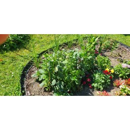 ECO LAWN EDGE 45mm PALISADE BORD GARDEN BORDES Polskie Geo