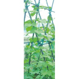 2 11MM V TIPO POLIŲ JUNGTIS RINKINYS