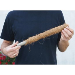 KOKOSO LAZDĖLIS, vynmedžių atraminis stulpas, STORIS, 40 cm