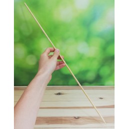 BAMBUKINIAI KAIŠČIAI 60 cm bambuko lazdelės 10 vnt.