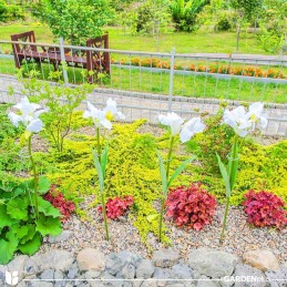 ATRAMAS VIENOPOLIS AUGALŲ METALINIS ŽIEDAS 60 CM