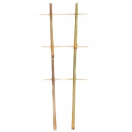 BAMBUKO KOPĖČIAS, augalų atrama, 35 cm