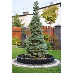 ✅ ☘ Jau daugiau nei 12 metų teikiame geriausius sodo dizaino sprendimus profesionalams ir gamtos mylėtojams ☘ ✅