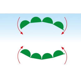 ✅ ☘ Jau daugiau nei 12 metų teikiame geriausius sodo dizaino sprendimus profesionalams ir gamtos mylėtojams ☘ ✅