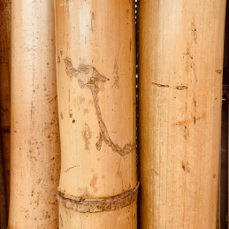 BioBamboo Stick bambuko lazdelė 30cm ⌀22-30mm