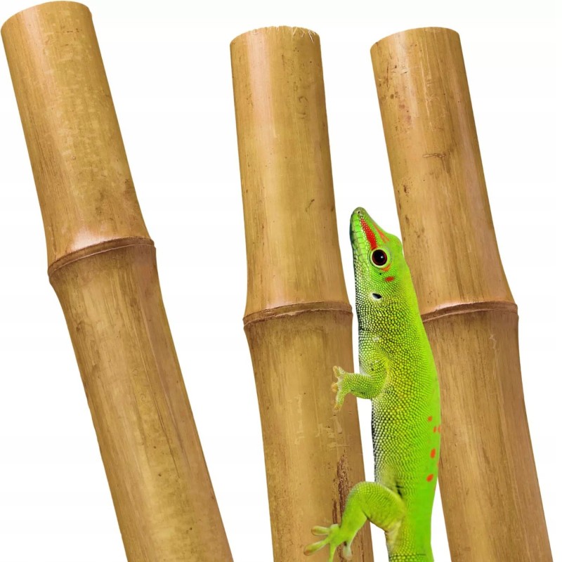 BioBamboo Stick bambuko lazdelė 40cm 6-8mm bambuko