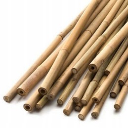 BioBamboo Stick bambuko lazdelė 40cm 6-8mm bambuko