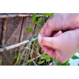 RINKINYS DEKORATYVINIAM TINKLUI ANT SIENOS MONTAVIMUI 12 vnt