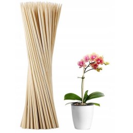 10x Smeigtukai stulpai Bambuko lazdelės atrama 50cm